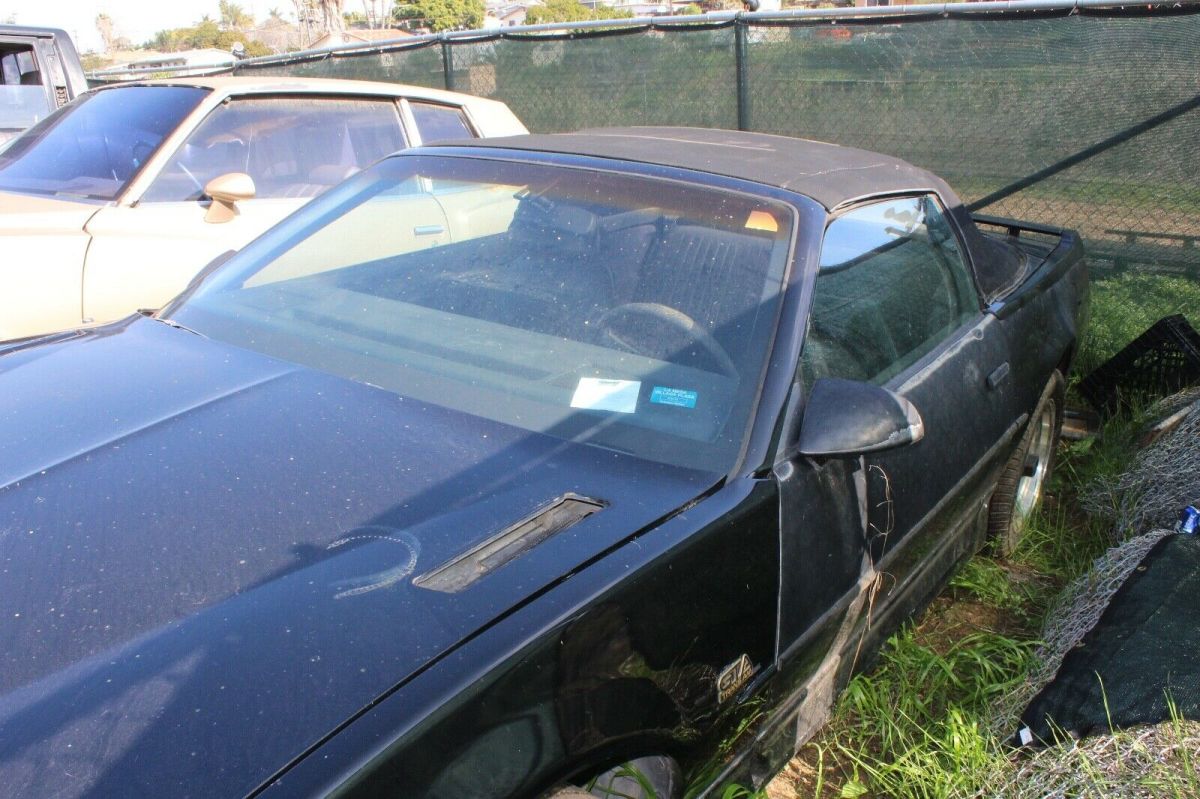 1989 Pontiac Trans Am GTA - photo 4
