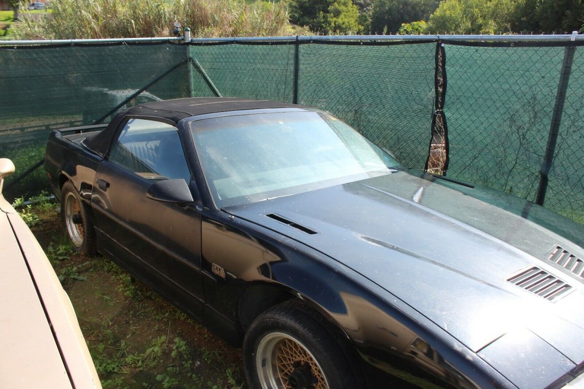1989 Pontiac Trans Am GTA - photo 5