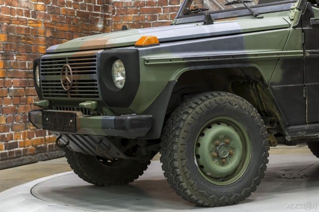1990 Mercedes-Benz G-Class 250GD Wolf - photo 2