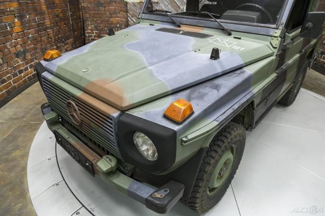 1990 Mercedes-Benz G-Class 250GD Wolf - photo 4