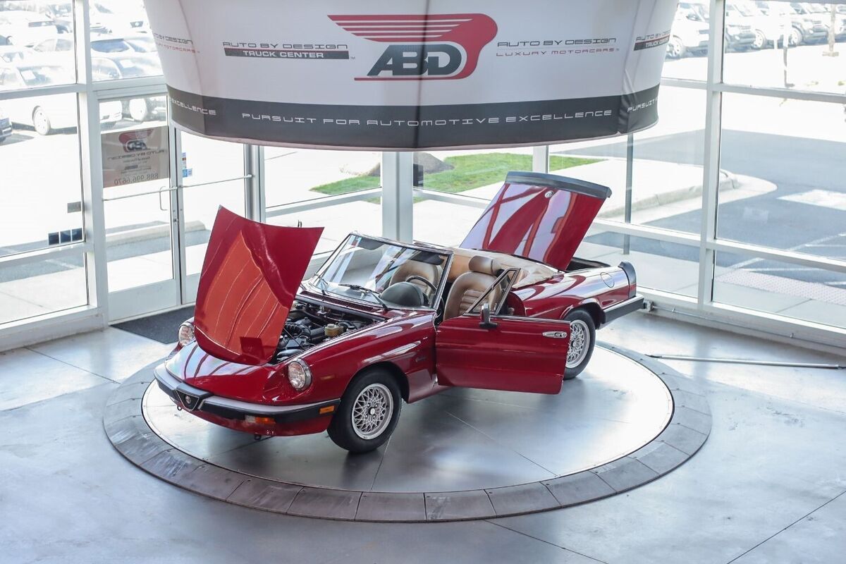 1990 Alfa Romeo Spider Graduate - photo 10