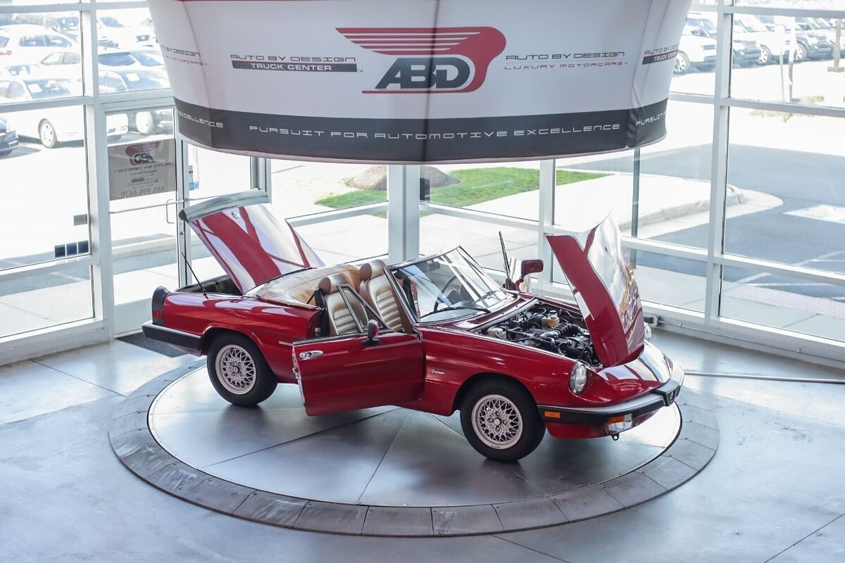 1990 Alfa Romeo Spider Graduate - photo 12