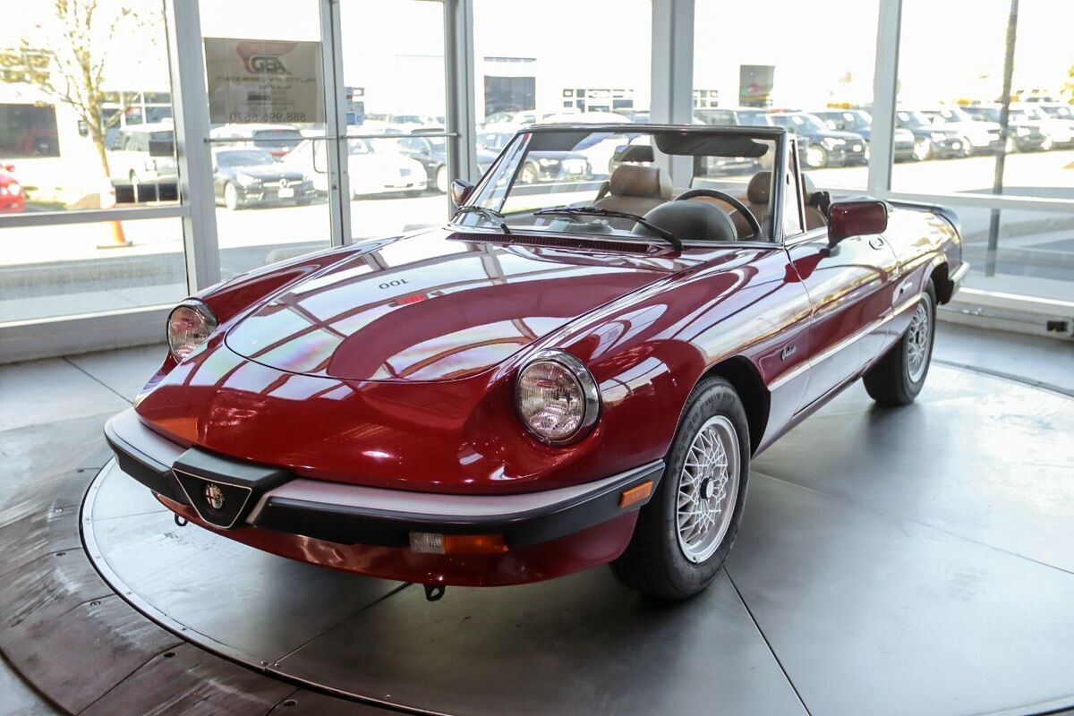 1990 Alfa Romeo Spider Graduate - photo 2