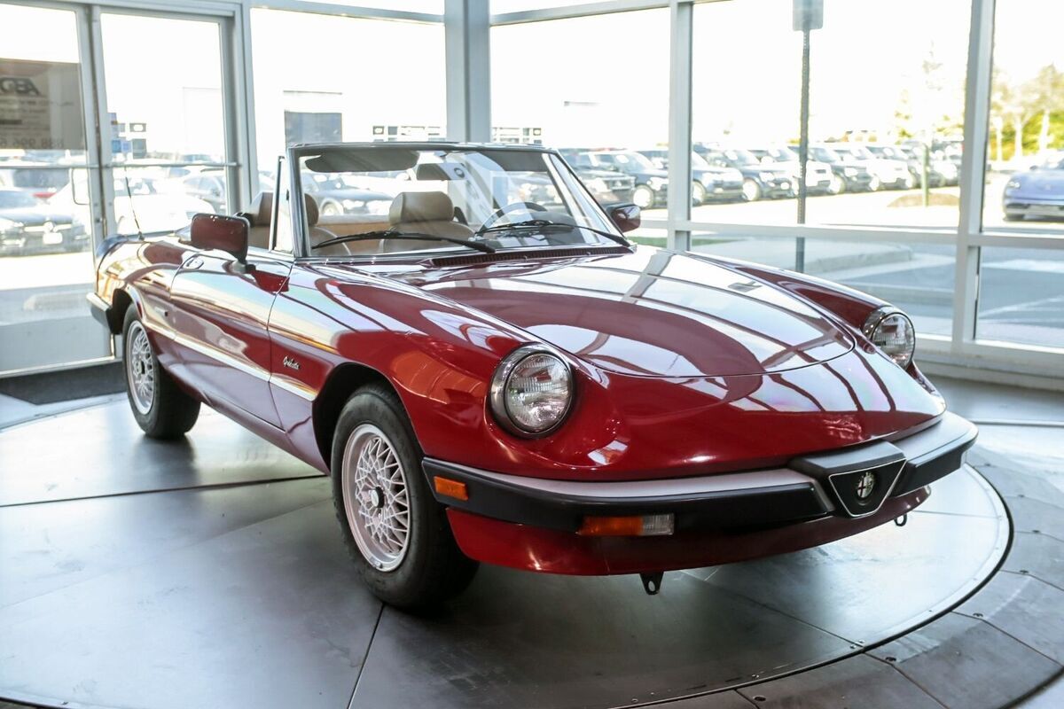 1990 Alfa Romeo Spider Graduate - photo 4