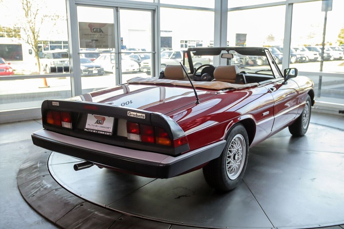 1990 Alfa Romeo Spider Graduate - photo 5