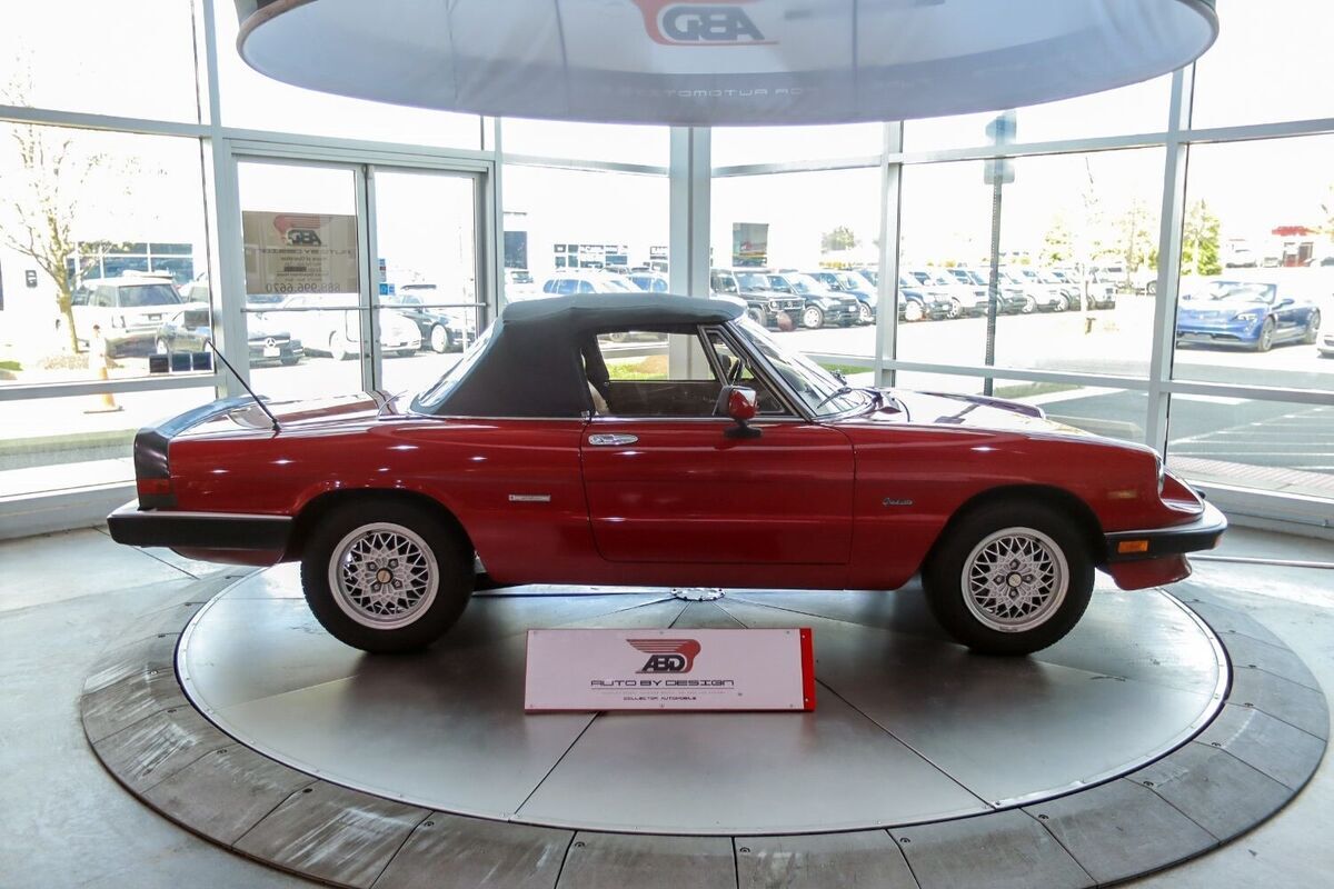 1990 Alfa Romeo Spider Graduate - photo 9