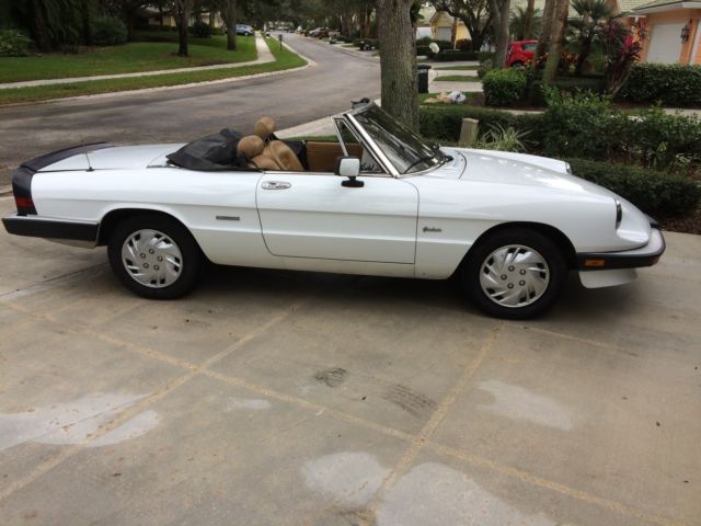 1990 Alfa Romeo Spider Graduate Convertible 2-Door - photo 7