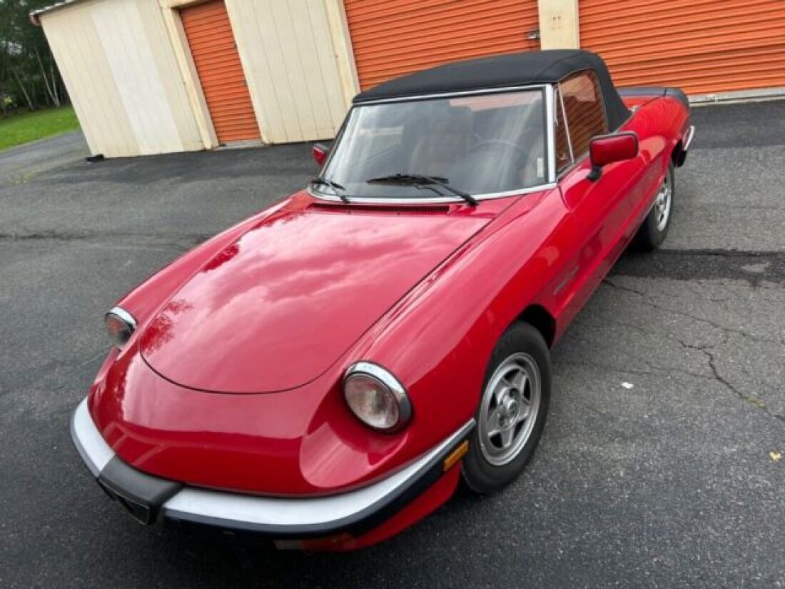 1990 Alfa Romeo Spider - photo 11