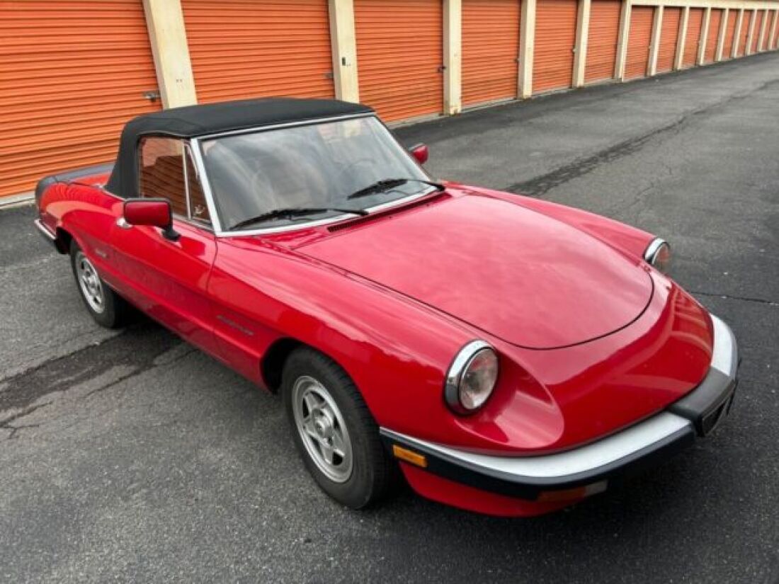 1990 Alfa Romeo Spider - photo 12