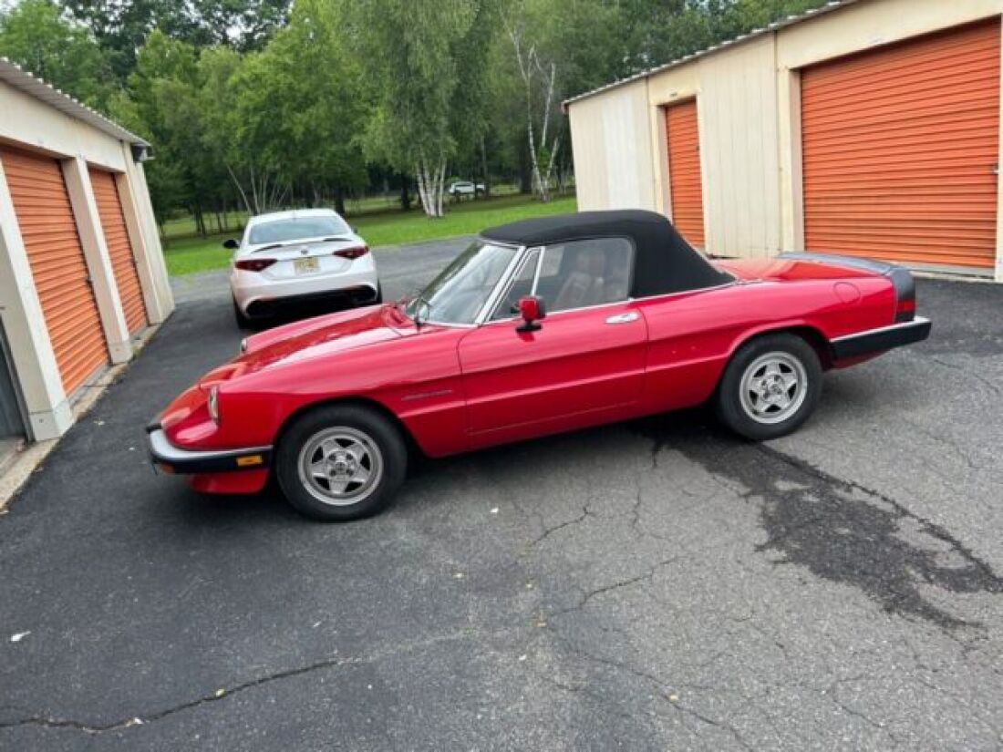 1990 Alfa Romeo Spider - photo 3