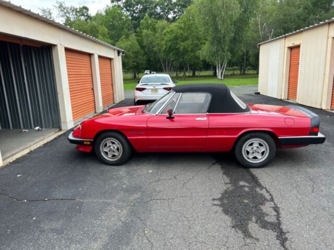 1990 Alfa Romeo Spider - photo 4