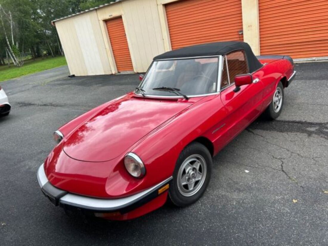 1990 Alfa Romeo Spider - photo 5