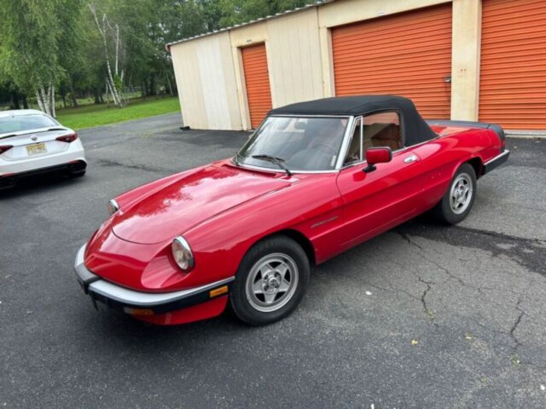 1990 Alfa Romeo Spider - photo 9