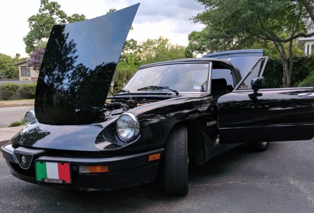 1990 Alfa Romeo Spider - photo 4