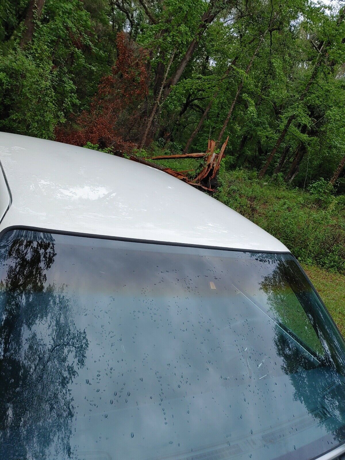 1990 Cadillac DeVille - photo 9