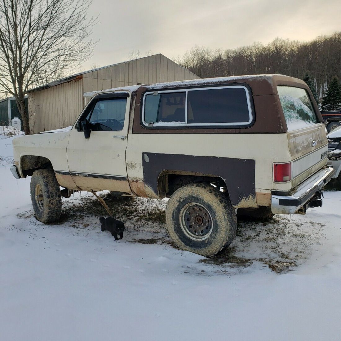 1990 Chevrolet Blazer V10 - photo 6