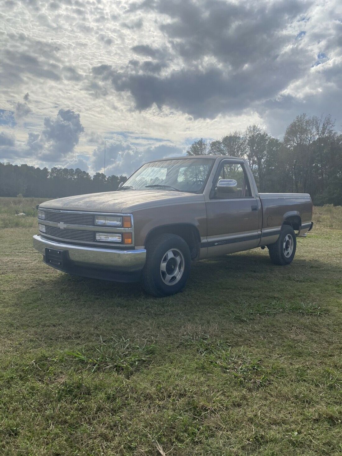 1990 Chevrolet C1500 C1500 - photo 6