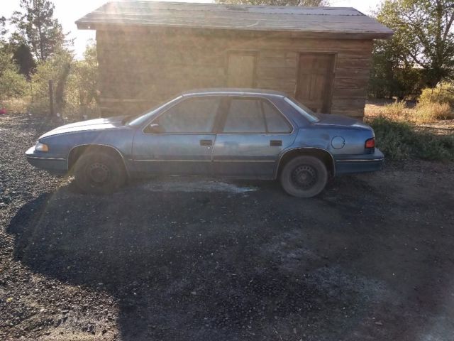 1990 Chevrolet Lumina - photo 12