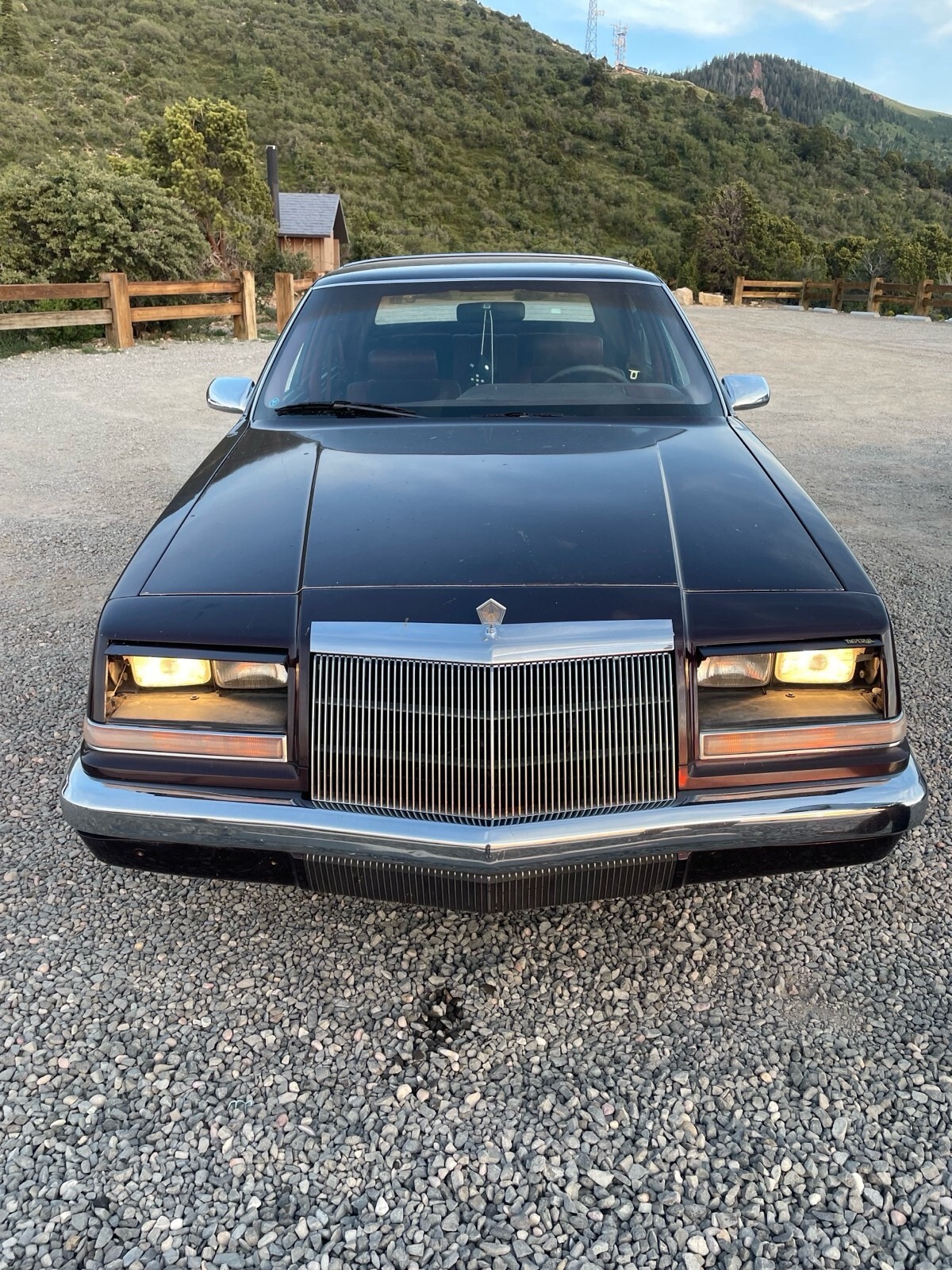 1990 Chrysler Imperial - photo 4