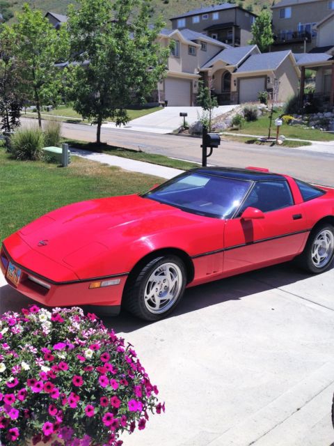 1990 Corvette ZR1 - King of the Hill 1990 Chevrolet Corvette ZR1