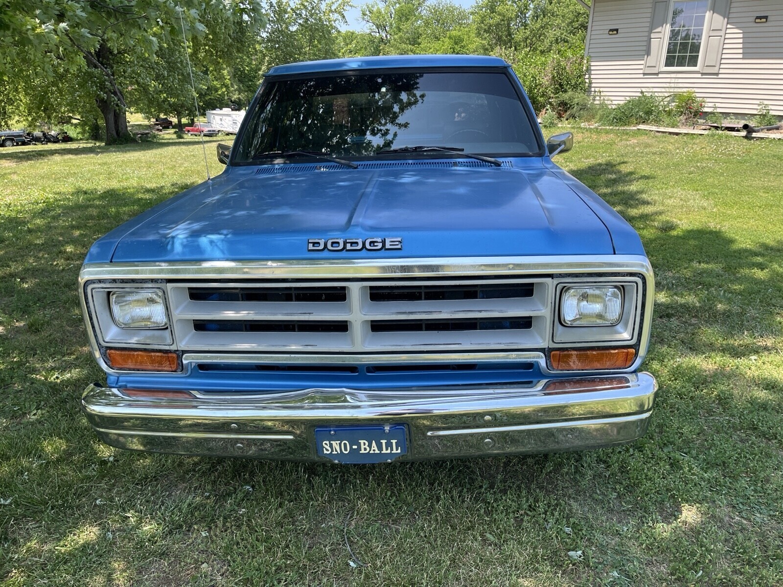 1990 Dodge Ram 1500 D150 - photo 2