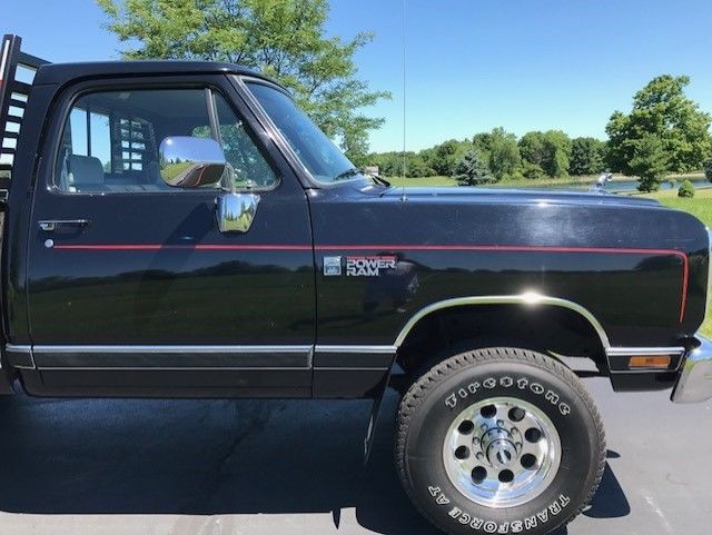 1990 Dodge Other Pickups LE - photo 12