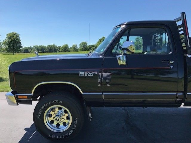 1990 Dodge Other Pickups LE - photo 13