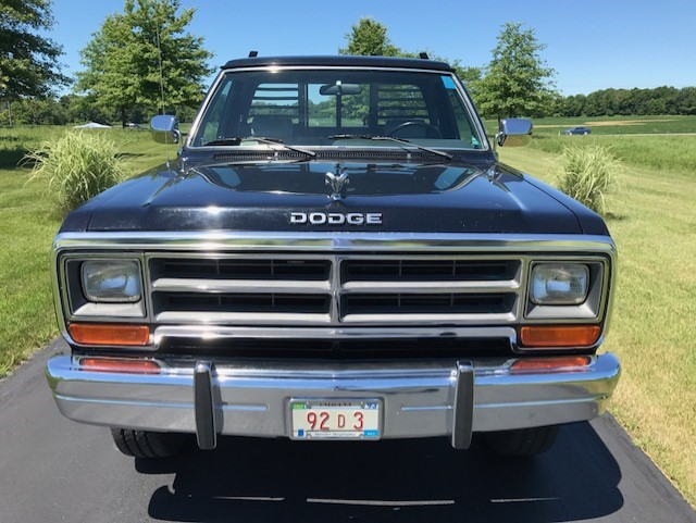 1990 Dodge Other Pickups LE - photo 2