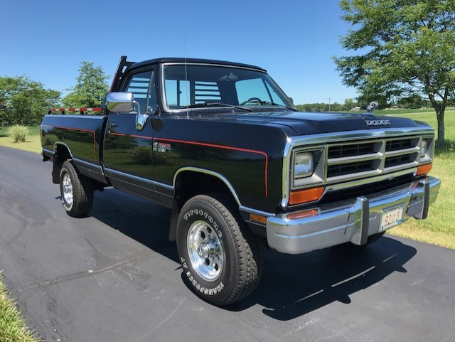 1990 Dodge Other Pickups LE - photo 3