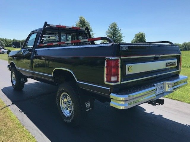 1990 Dodge Other Pickups LE - photo 9