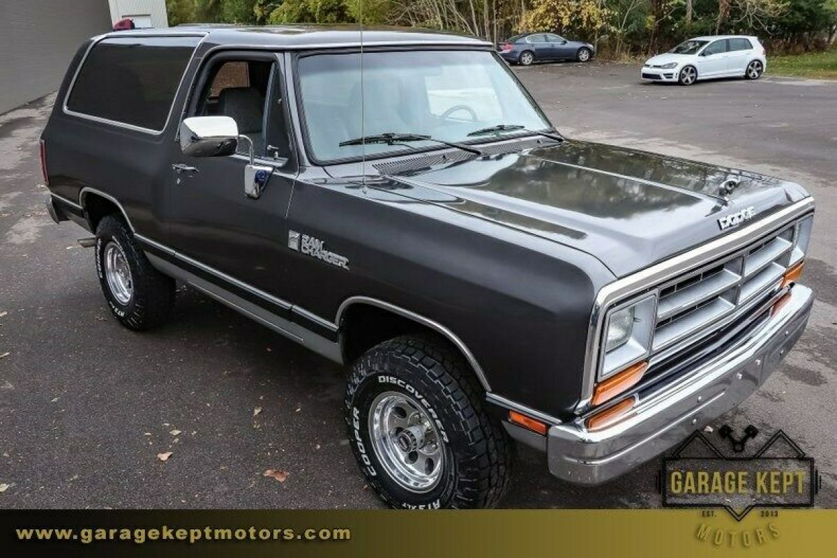 1990 Dodge Ramcharger AW-100 - photo 6