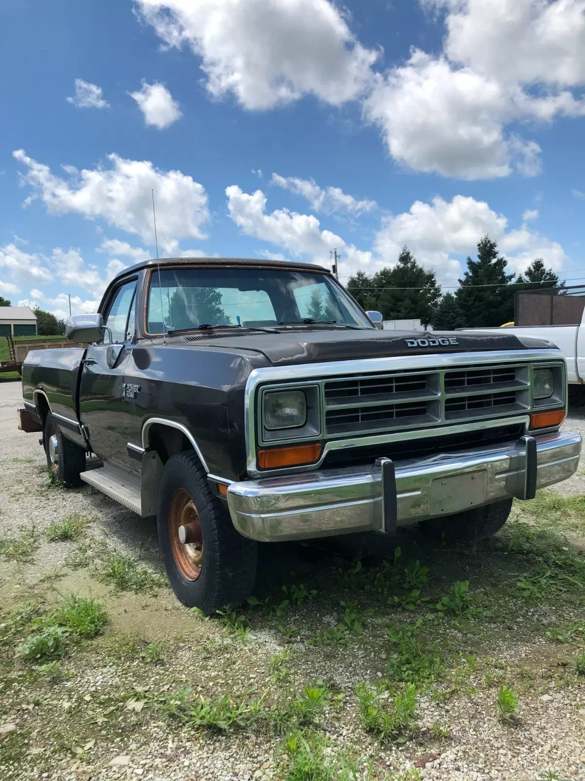1990 Dodge W-250 Truck 1990 Dodge 250