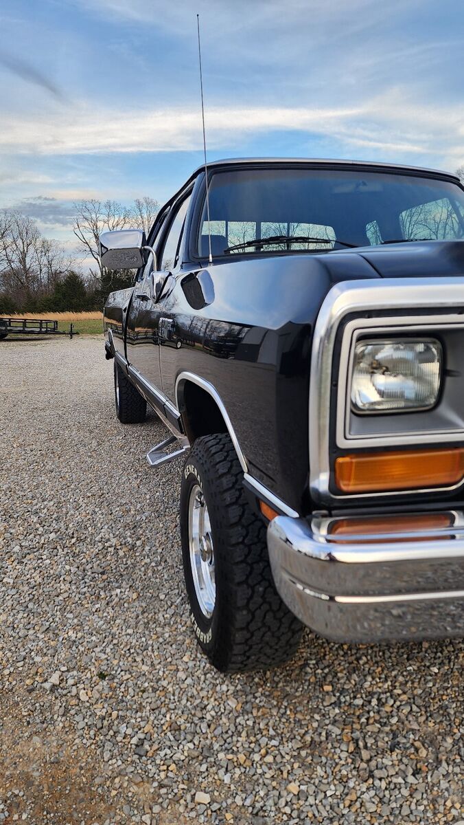 1990 Dodge W-Series W150 - photo 11