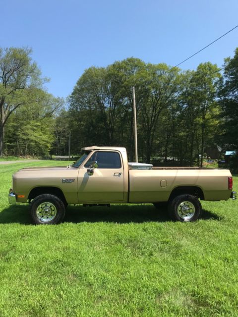 1990 Dodge Other Pickups - photo 2