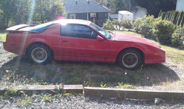 1990 Pontiac Firebird GTA WS6 - photo 2