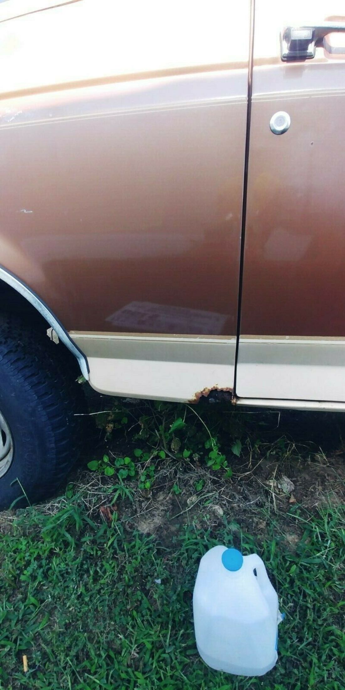 1990 Ford Bronco U100 - photo 8