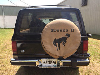 1990 Ford Bronco II - photo 4
