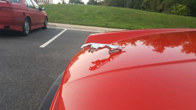 1990 Jaguar XJS Sport - photo 9