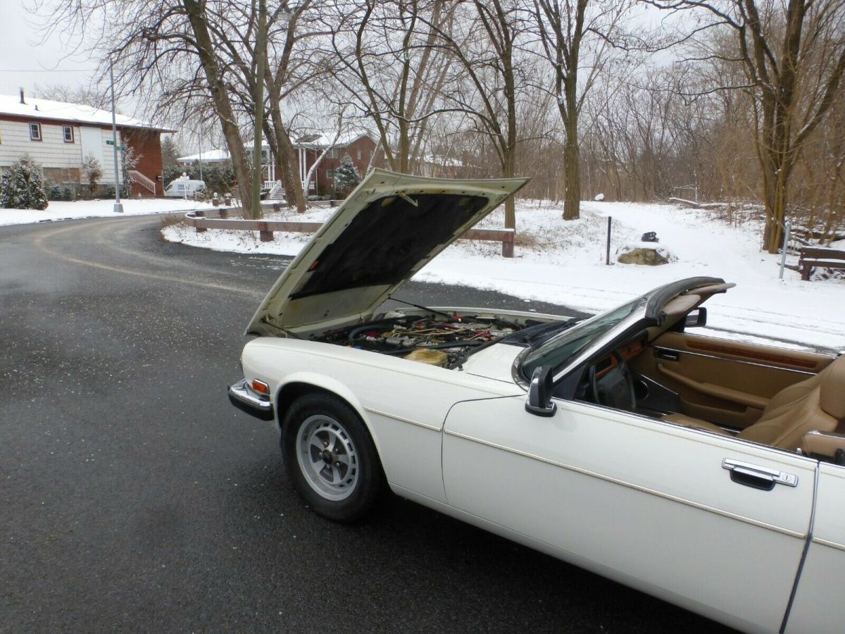 1990 Jaguar XJS V12 - photo 13