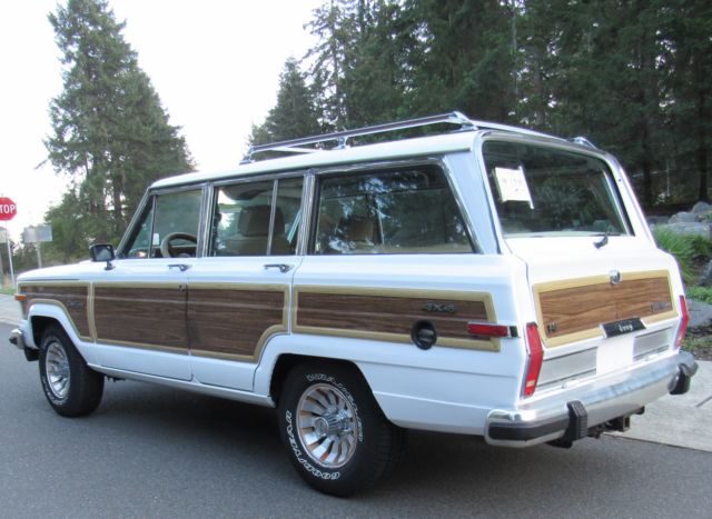 1990 Jeep Wagoneer Jeep AMC Grand Wagoneer - photo 4