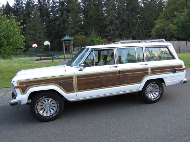 1990 Jeep Wagoneer Jeep AMC Grand Wagoneer - photo 6