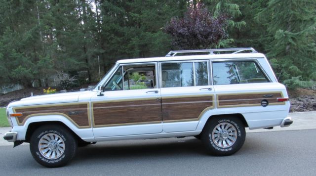 1990 Jeep Wagoneer Jeep AMC Grand Wagoneer - photo 7