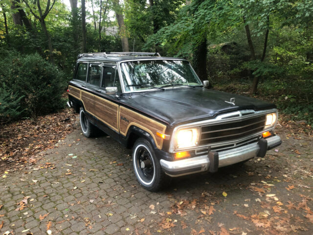 1990 Jeep Wagoneer - photo 3