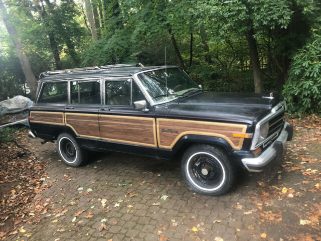 1990 Jeep Wagoneer - photo 4