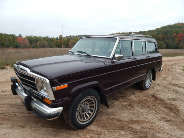 1990 Jeep Wagoneer Base Sport Utility 4-Door - photo 10