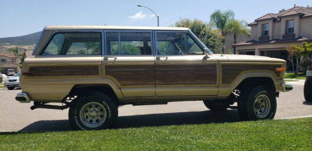 1990 Jeep Wagoneer Grand Wagoneer - photo 6