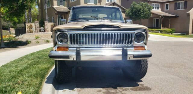 1990 Jeep Wagoneer Grand Wagoneer - photo 8