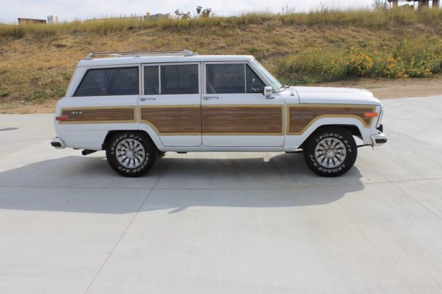 1990 Jeep Wagoneer Grand Wagoneer - photo 7