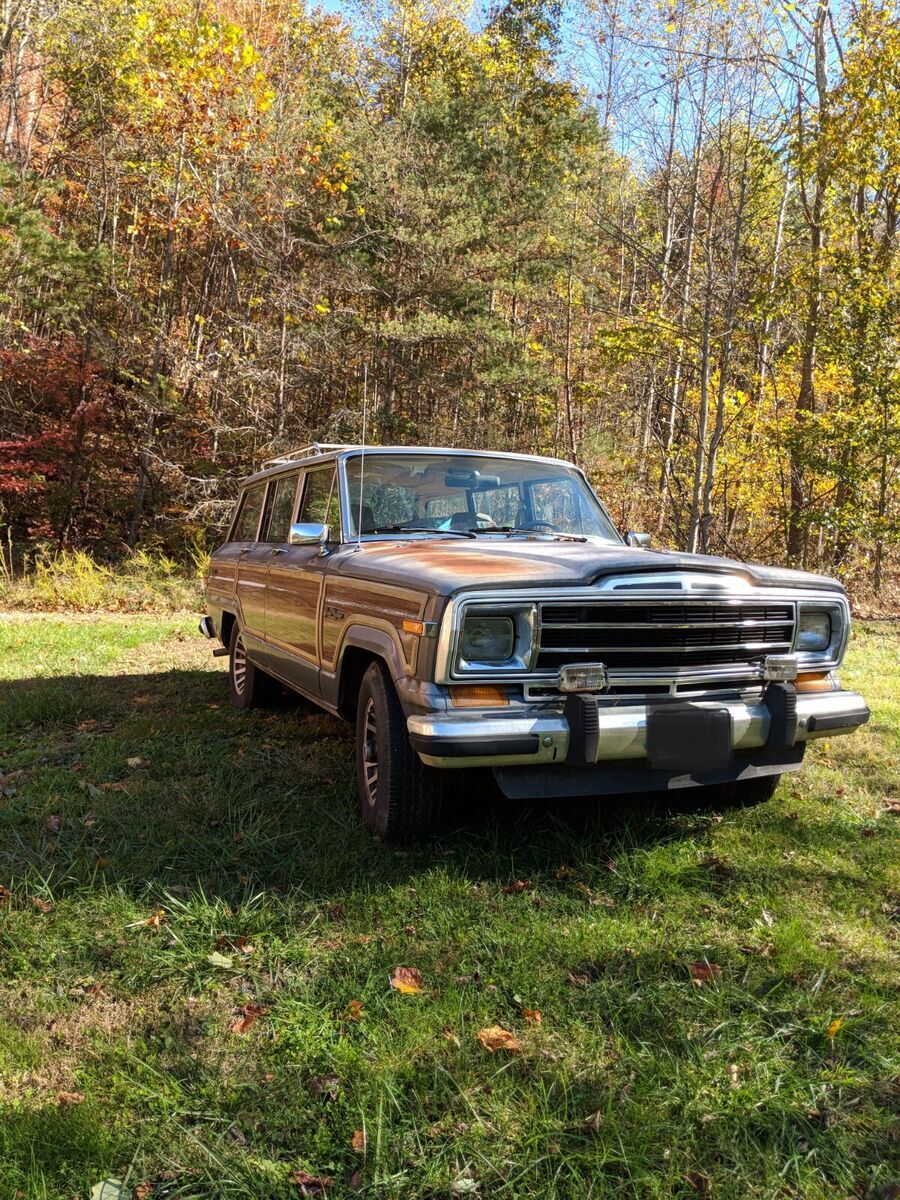 1990 Jeep Wagoneer - photo 2