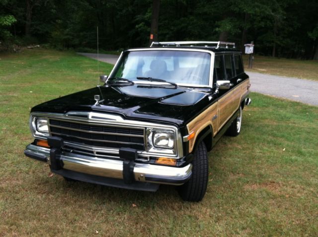 1990 Jeep Wagoneer - photo 3